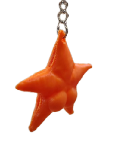 diseño sin título (5)